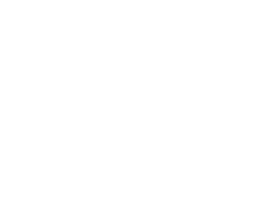 Translation and languages